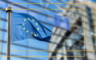 Europadag: Wat de EU heeft betekend voor e-commerce en compliance.