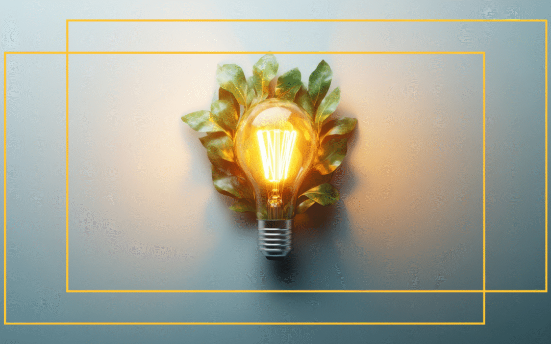 Green Friday: het milieubewuste alternatief voor Black Friday.