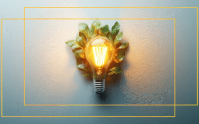 Green Friday: het milieubewuste alternatief voor Black Friday.